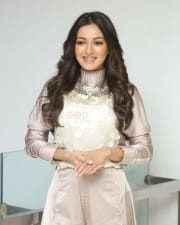 Actress Catherine Tresa At Vadaladu Movie Interview Photos