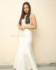 Actress Catherine Tresa At Vadaladu Movie Press Meet Photos