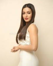 Actress Catherine Tresa At Vadaladu Movie Press Meet Photos