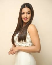 Actress Catherine Tresa At Vadaladu Movie Press Meet Photos