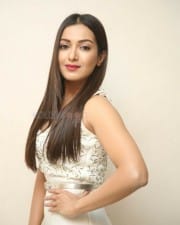 Actress Catherine Tresa At Vadaladu Movie Press Meet Photos