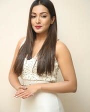Actress Catherine Tresa At Vadaladu Movie Press Meet Photos