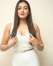 Actress Catherine Tresa At Vadaladu Movie Press Meet Photos
