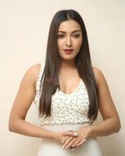 Actress Catherine Tresa At Vadaladu Movie Press Meet Photos