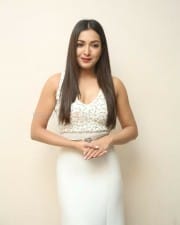 Actress Catherine Tresa At Vadaladu Movie Press Meet Photos