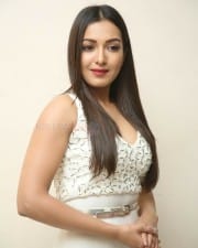 Actress Catherine Tresa At Vadaladu Movie Press Meet Photos