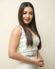 Actress Catherine Tresa At Vadaladu Movie Press Meet Photos