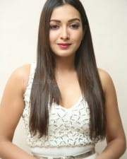 Actress Catherine Tresa At Vadaladu Movie Press Meet Photos