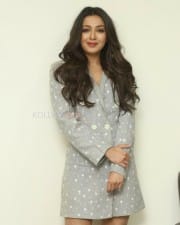 Actress Catherine Tresa At World Famous Lover Movie Interview Photos