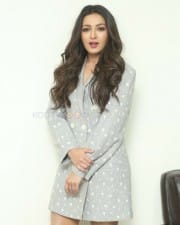 Actress Catherine Tresa At World Famous Lover Movie Interview Photos