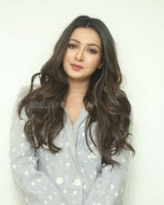 Actress Catherine Tresa At World Famous Lover Movie Interview Photos