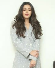 Actress Catherine Tresa At World Famous Lover Movie Interview Photos
