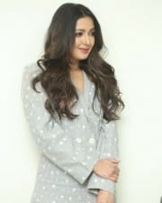 Actress Catherine Tresa At World Famous Lover Movie Interview Photos