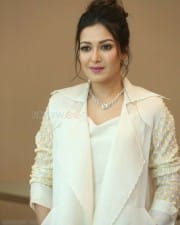 Actress Catherine Tresa At World Famous Lover Movie Trailer Launch Pictures