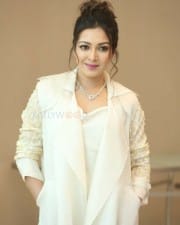 Actress Catherine Tresa At World Famous Lover Movie Trailer Launch Pictures