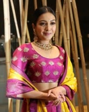 Actress Catherine Tresa At World Famous Lover Pre release Event Stills