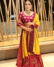 Actress Catherine Tresa At World Famous Lover Pre release Event Stills
