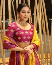 Actress Catherine Tresa At World Famous Lover Pre release Event Stills