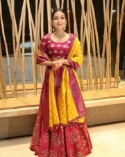Actress Catherine Tresa At World Famous Lover Pre release Event Stills