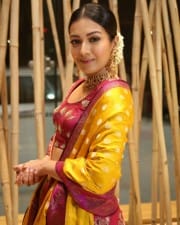 Actress Catherine Tresa At World Famous Lover Pre release Event Stills