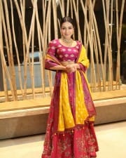 Actress Catherine Tresa At World Famous Lover Pre release Event Stills