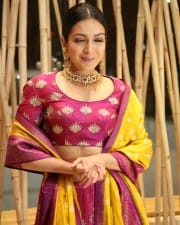 Actress Catherine Tresa At World Famous Lover Pre release Event Stills