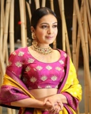 Actress Catherine Tresa At World Famous Lover Pre release Event Stills