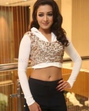 Actress Catherine Tresa Beautiful Photos