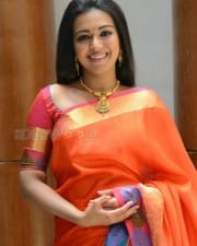 Actress Catherine Tresa Saree Pictures
