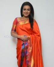 Actress Catherine Tresa Saree Pictures