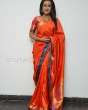 Actress Catherine Tresa Saree Pictures