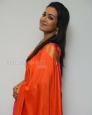 Actress Catherine Tresa Saree Pictures