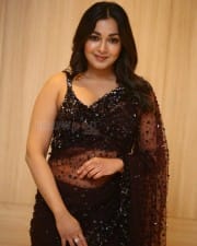 Actress Catherine Tresa at Bhala Thandhanana Pre Release Event Photos 12