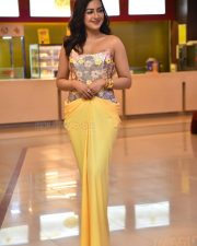 Actress Catherine Tresa at Phani Movie Press Meet Photos 02