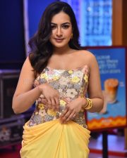 Actress Catherine Tresa at Phani Movie Press Meet Photos 04
