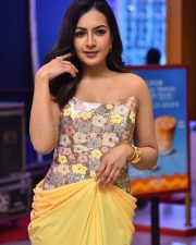 Actress Catherine Tresa at Phani Movie Press Meet Photos 05