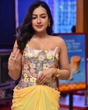 Actress Catherine Tresa at Phani Movie Press Meet Photos 06