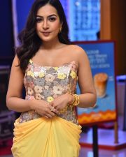 Actress Catherine Tresa at Phani Movie Press Meet Photos 07