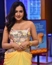 Actress Catherine Tresa at Phani Movie Press Meet Photos 09