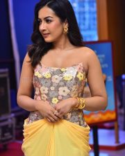 Actress Catherine Tresa at Phani Movie Press Meet Photos 10