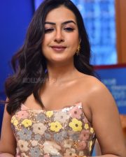 Actress Catherine Tresa at Phani Movie Press Meet Photos 12