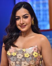Actress Catherine Tresa at Phani Movie Press Meet Photos 13