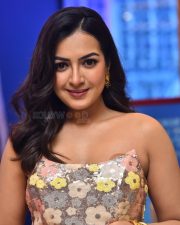 Actress Catherine Tresa at Phani Movie Press Meet Photos 14