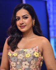 Actress Catherine Tresa at Phani Movie Press Meet Photos 18