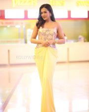 Actress Catherine Tresa at Phani Movie Press Meet Photos 28