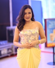Actress Catherine Tresa at Phani Movie Press Meet Photos 29