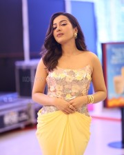Actress Catherine Tresa at Phani Movie Press Meet Photos 30