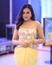 Actress Catherine Tresa at Phani Movie Press Meet Photos 31