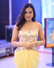 Actress Catherine Tresa at Phani Movie Press Meet Photos 33