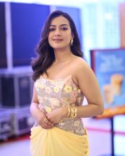Actress Catherine Tresa at Phani Movie Press Meet Photos 36